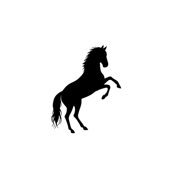 ENS